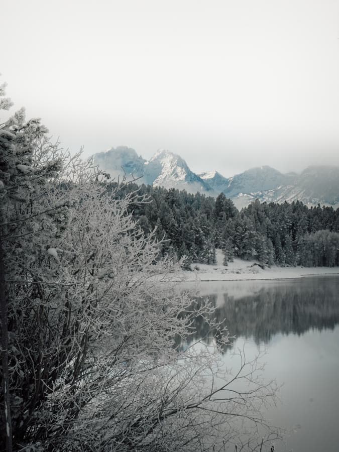 Frosted trees beside a still lake beneath misty peaks